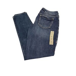 Silver Jeans size 29/31 Elyse style skinny with embroidered flowers Blue Jeans